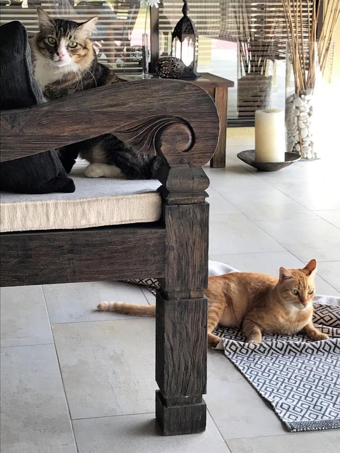 קואה Villa Kelapa Langkawi מראה חיצוני תמונה